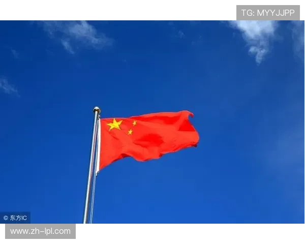 纪律委员会重罚里尔主席，停赛期间禁止参与事务